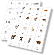 Chinese Printable Picture Flashcards